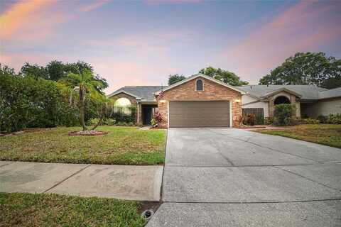 Deer, PALM HARBOR, FL 34684