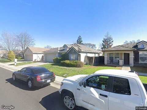 Paso Fino, ELK GROVE, CA 95757