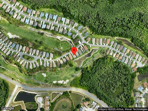 Green Needle, NEW PORT RICHEY, FL 34655