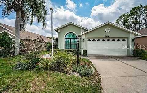 Green Needle, NEW PORT RICHEY, FL 34655