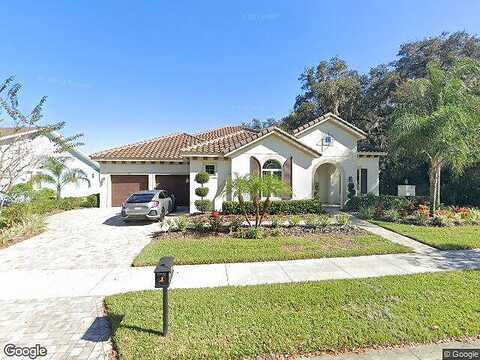Candler View, LITHIA, FL 33547