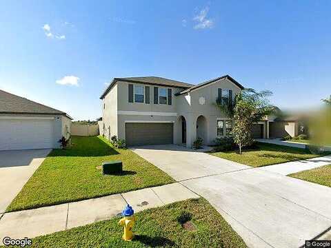 Dandelion, APOLLO BEACH, FL 33572