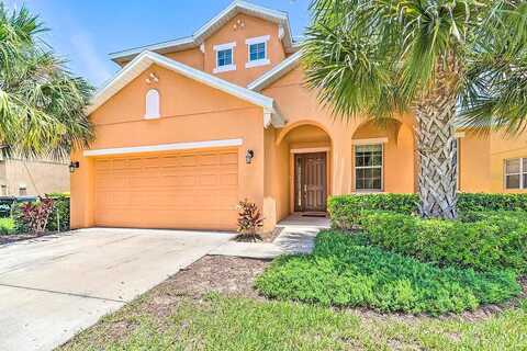 Orange Cosmos, DAVENPORT, FL 33837
