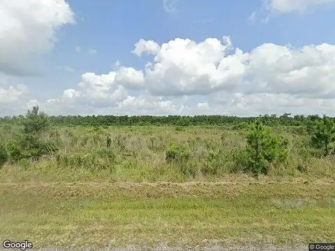 Barn Owl, LAKE CHARLES, LA 70615