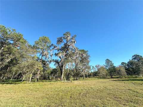 Nw 193Rd St, Reddick, FL 32686