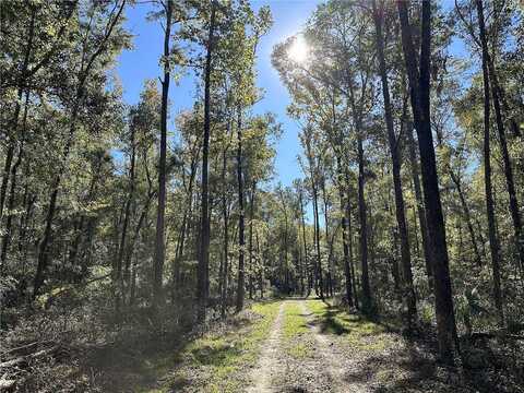 W Highway 318, Reddick, FL 32686
