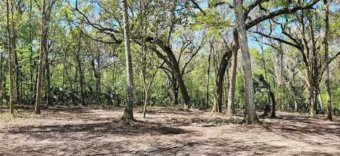 Nw 193Rd St, MICANOPY, FL 32667