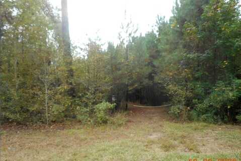 Tract 2 Grey Land Road, Greensboro, GA 30642