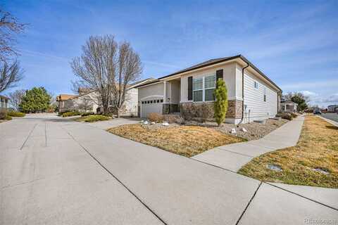 Red Poppy, BRIGHTON, CO 80601