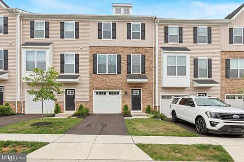 Pecan, SPRING CITY, PA 19475