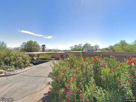 Hummingbird, PARADISE VALLEY, AZ 85253