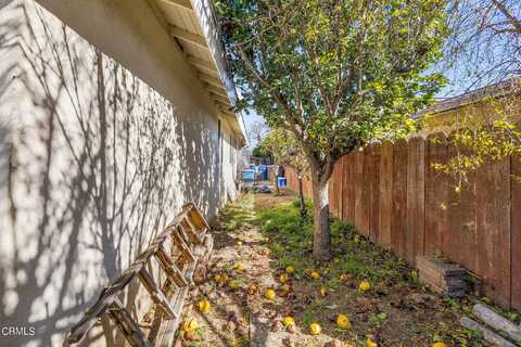 Laurie, SANTA PAULA, CA 93060
