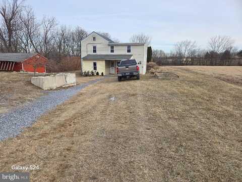 Grape, RICHLAND, PA 17087