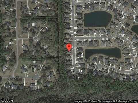 Orchard Oriole, MIDDLEBURG, FL 32068