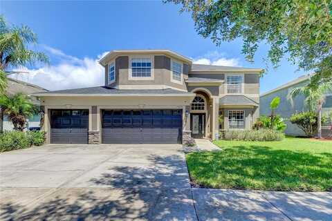 Chislehurst, LAND O LAKES, FL 34638