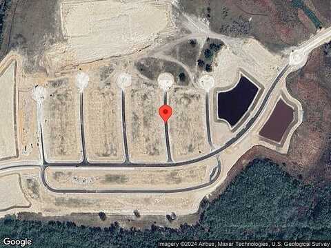 Corsican, LAKE ALFRED, FL 33850