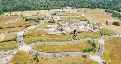 Lasiandra, BLAINE, WA 98230