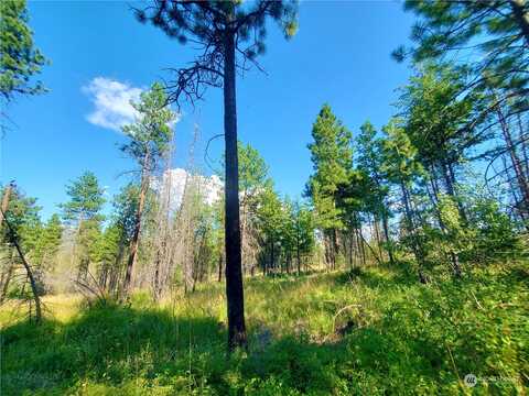 Whiterock Road, Okanogan, WA 98840