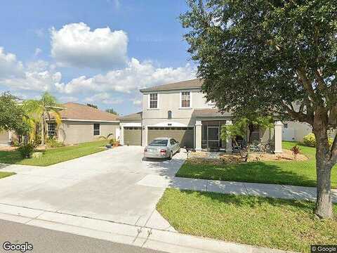 Hobblebrush, NORTH PORT, FL 34289