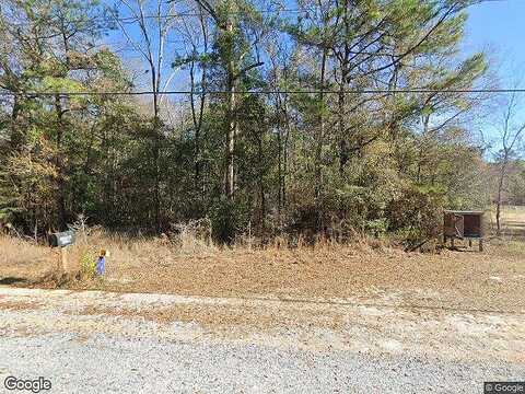 Old Highway 49, PERKINSTON, MS 39573