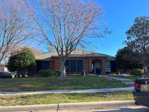 Chimney, MESQUITE, TX 75181