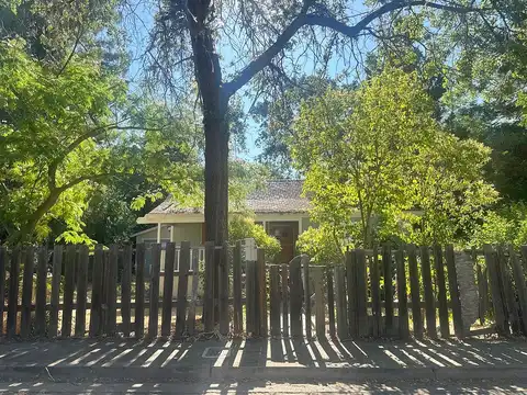 Brush, LAKEPORT, CA 95453