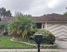 Windsurfer, TAMPA, FL 33615