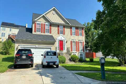 Breyer, BELTSVILLE, MD 20705