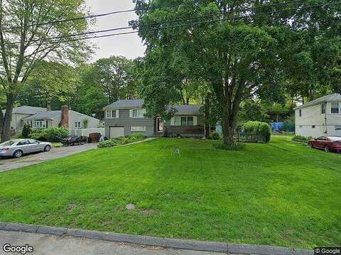 Blueberry, TRUMBULL, CT 06611