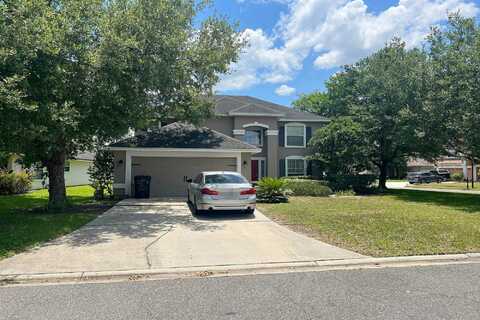 Bitterberry, ORANGE PARK, FL 32065