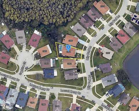 Lily Pad, KISSIMMEE, FL 34743