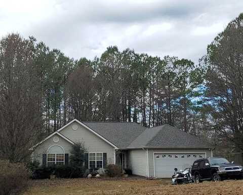 Pegasus, NEWNAN, GA 30263