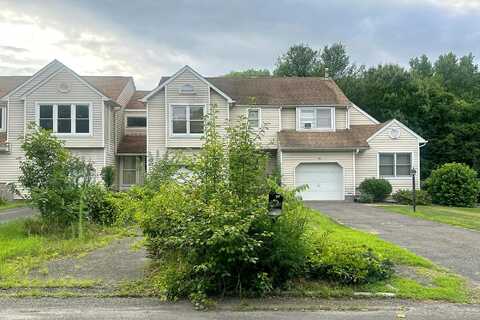 Red Maple, SAUGERTIES, NY 12477
