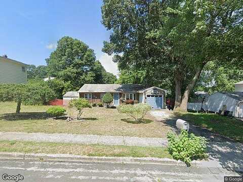Janice, SELDEN, NY 11784
