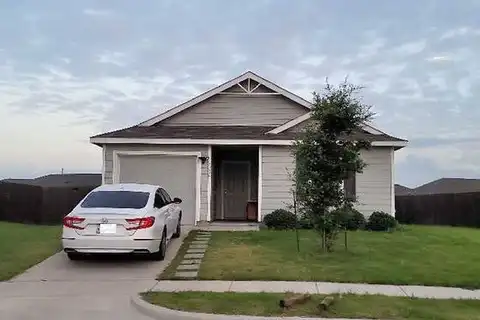 Cicada, FORNEY, TX 75126