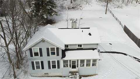 Elm, CAMILLUS, NY 13031