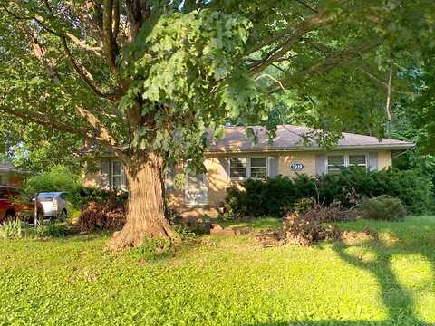 Daffodil, LOUISVILLE, KY 40258