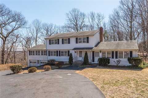 Mustang, SHELTON, CT 06484