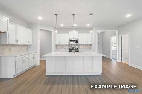 106 Lucy Lynn Boulevard, Meridianville, AL 35759