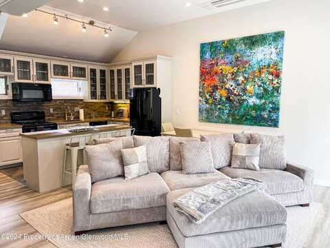 1195 E Cooper Avenue, Aspen, CO 81611