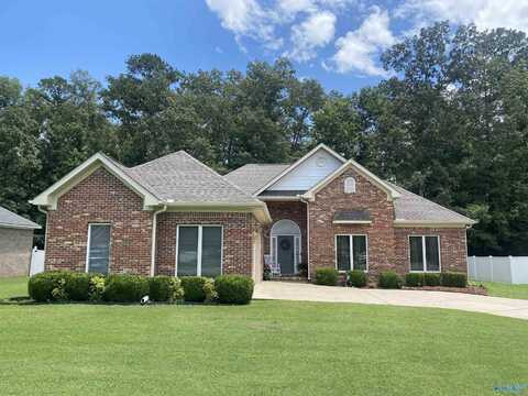 2900 Turtle Pond Lane SW, Hartselle, AL 35640