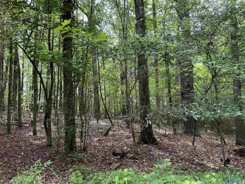 Lot 1 Township Road, Rainbow City, AL 35906