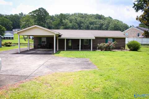 5973 Peninsula Point, Southside, AL 35907