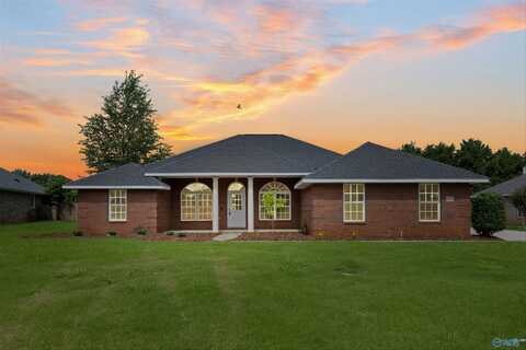 107 Coldsprings Drive, Harvest, AL 35749
