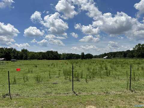 9.1 Ham Road, Athens, AL 35611