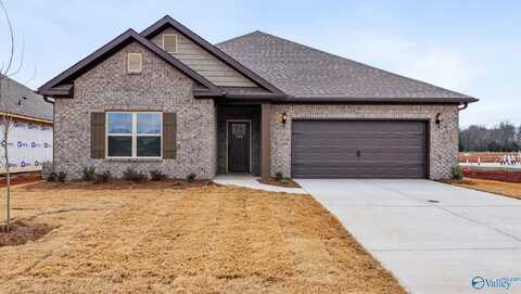 139 Hillis Lane, Hazel Green, AL 35750