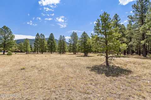 479 E Moonrise Valley Drive, Flagstaff, AZ 86001