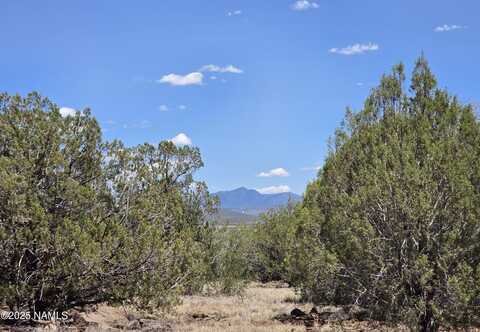 1804 N Francis Lane, Williams, AZ 86046