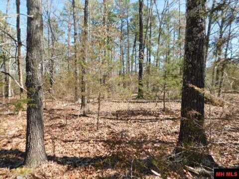 516 QUAIL WAY, Dolph, AR 72528