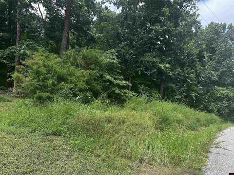 Lts 35-37 RIVER RANCH ROAD, Mountain Home, AR 72653